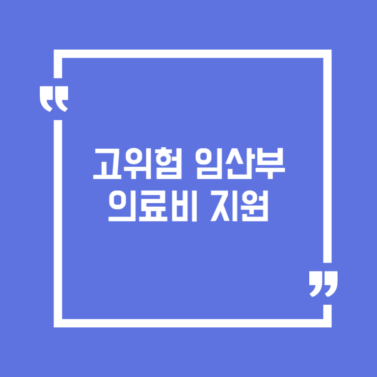 고위험 임산부 의료비 지원