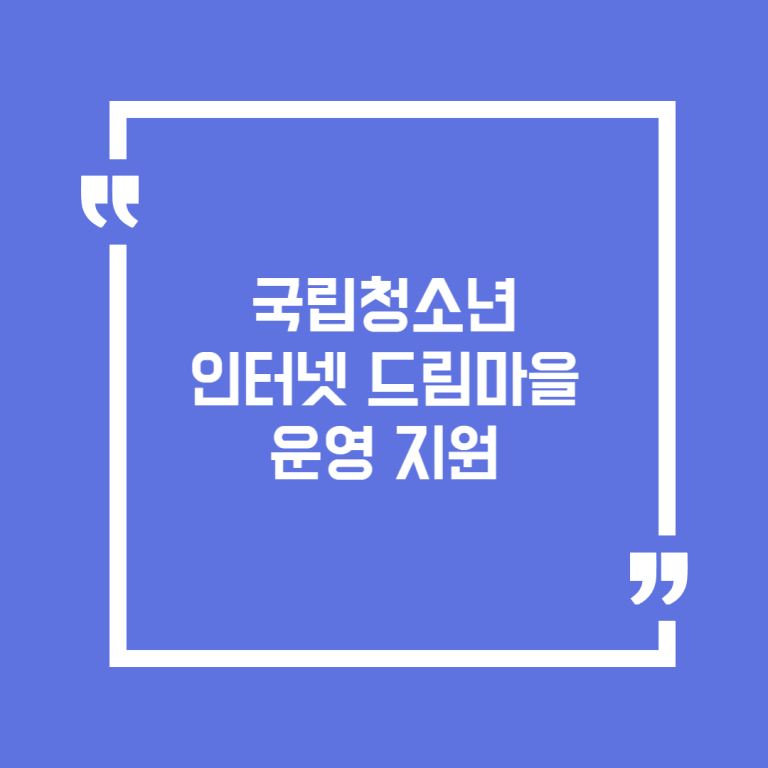 국립청소년인터넷드림마을 운영 지원