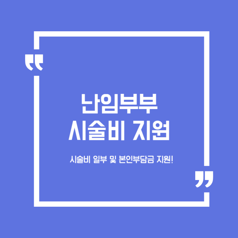 난임부부 시술비 지원