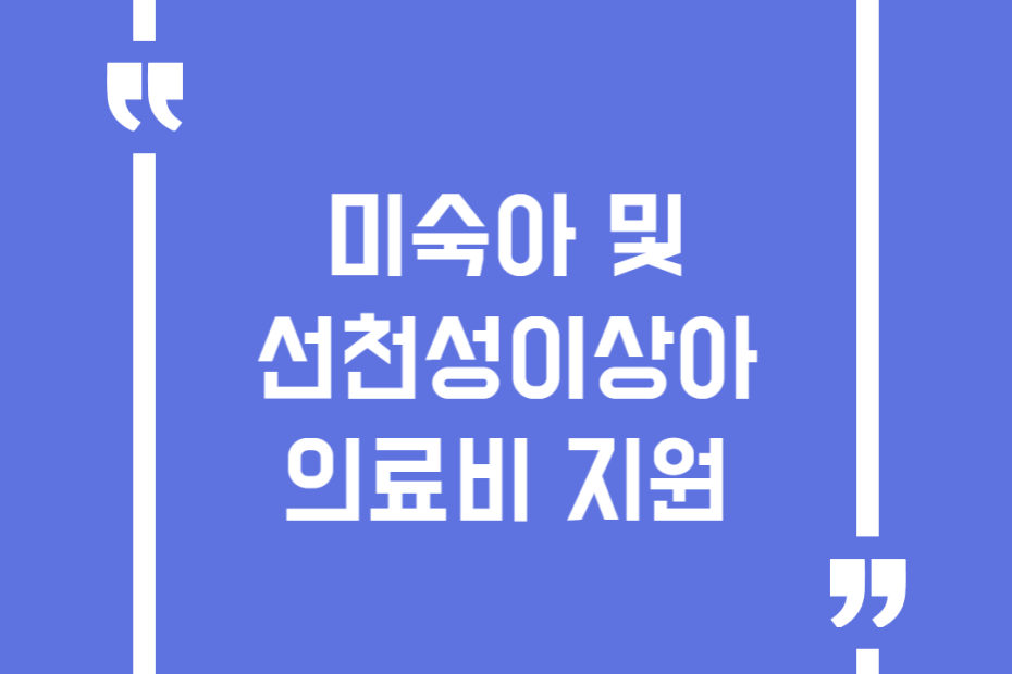 미숙아 및 선천성이상아 의료비 지원