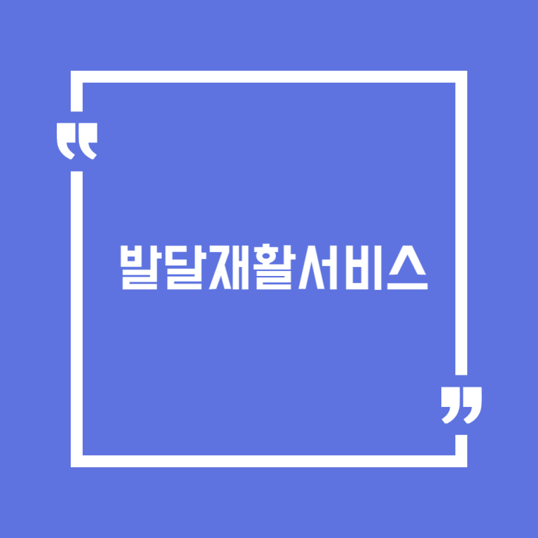 발달재활서비스