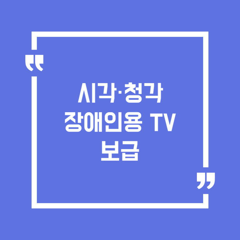 시각·청각장애인용 TV 보급