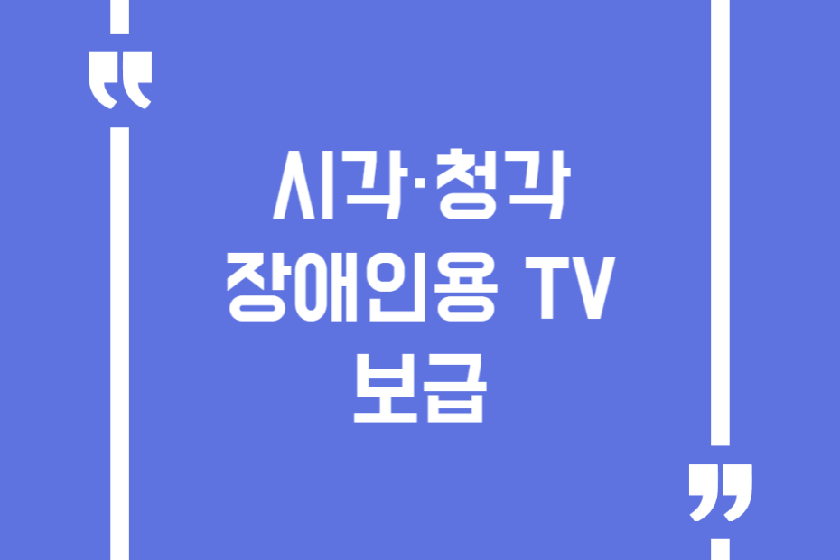 시각·청각장애인용 TV 보급