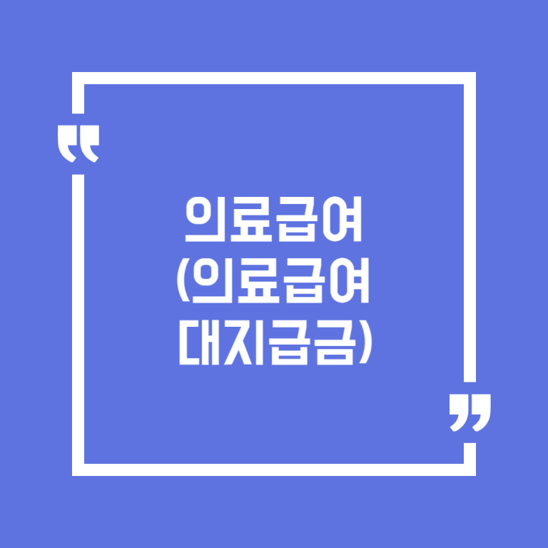의료급여 (의료급여 대지급금)