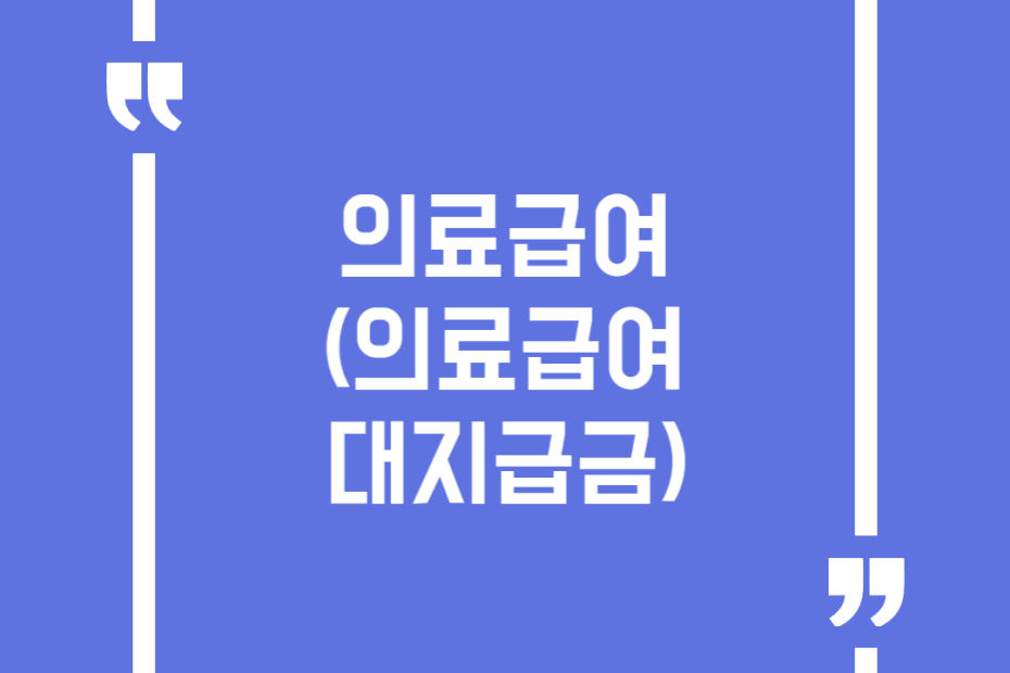 의료급여 (의료급여 대지급금)