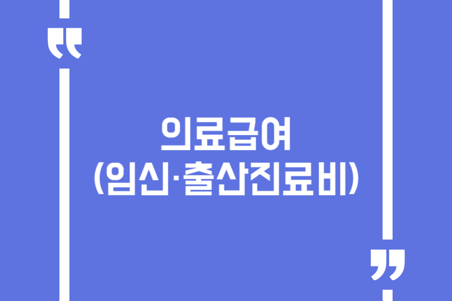 의료급여 (임신·출산진료비)