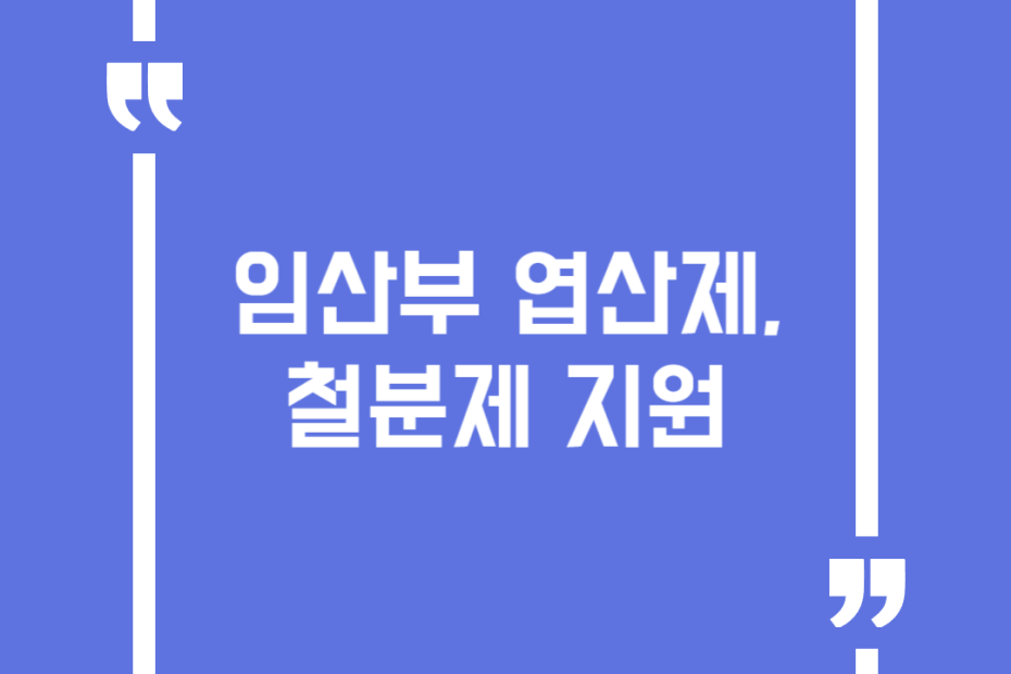 임산부 엽산제, 철분제 지원