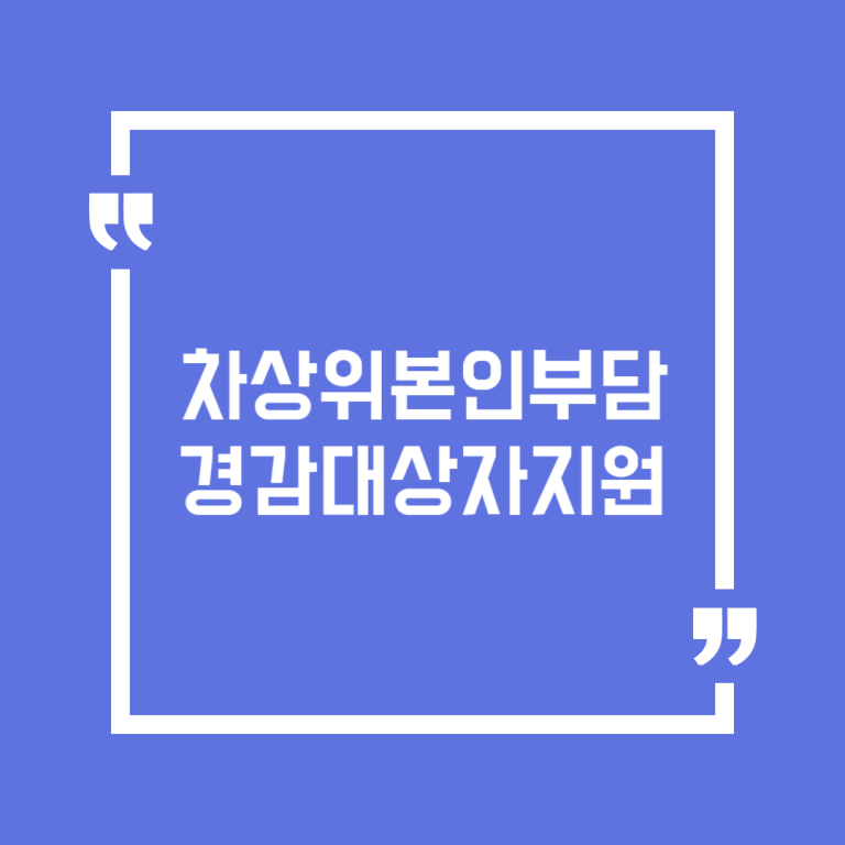 차상위본인부담경감대상자지원
