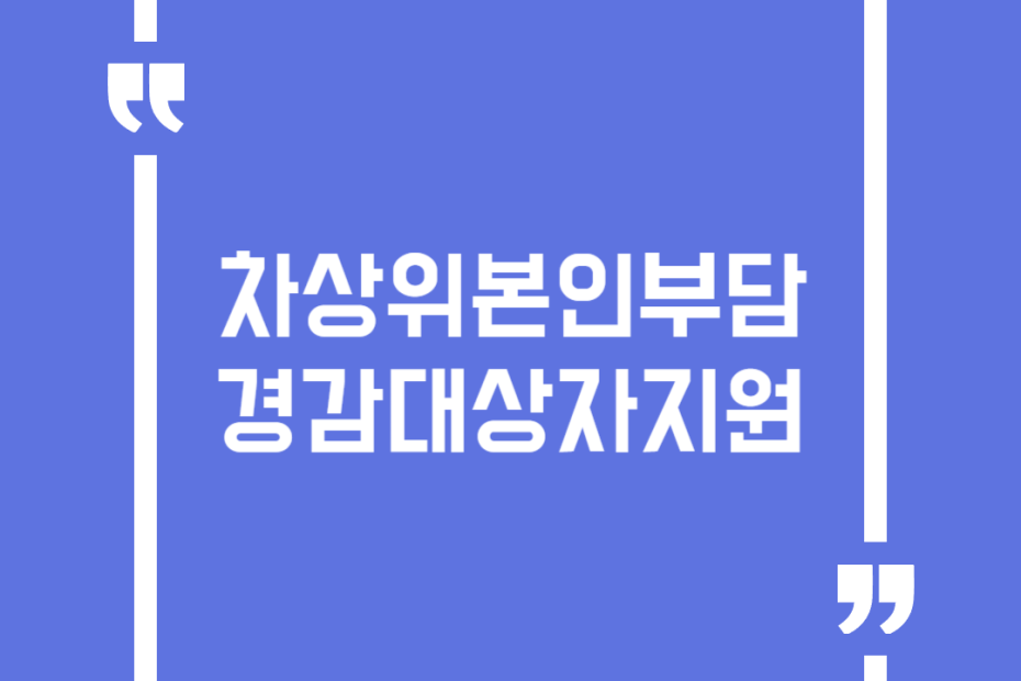 차상위본인부담경감대상자지원