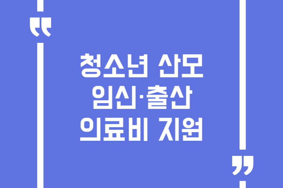 청소년 산모 임신·출산 의료비 지원