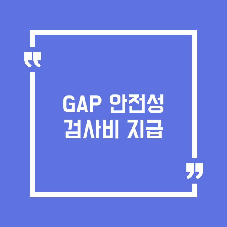 GAP 안전성 검사비 지급