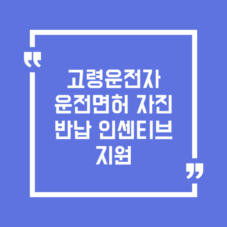고령운전자 운전면허 자진반납 인센티브 지원