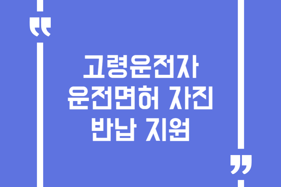 고령운전자 운전면허 자진반납 지원