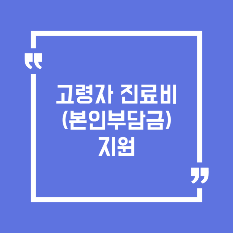 고령자 진료비(본인부담금) 지원
