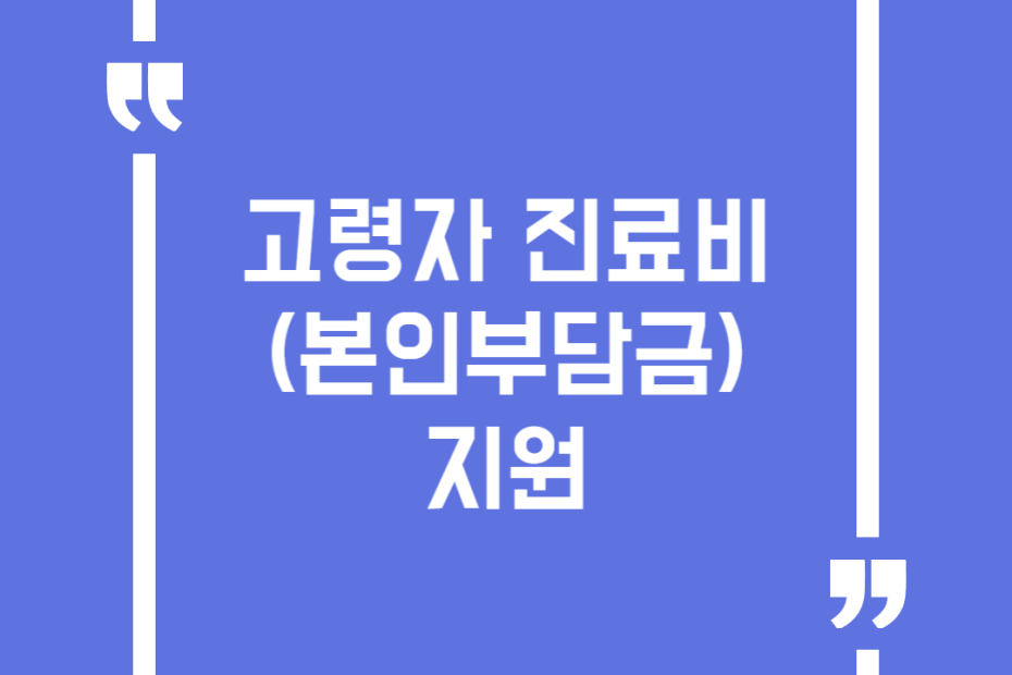 고령자 진료비(본인부담금) 지원
