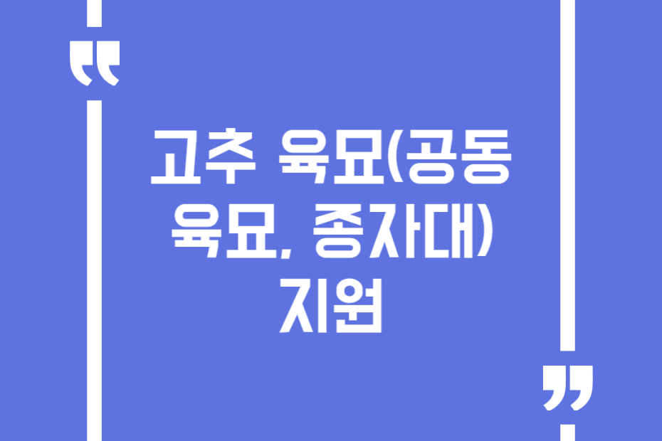 고추 육묘(공동육묘, 종자대) 지원