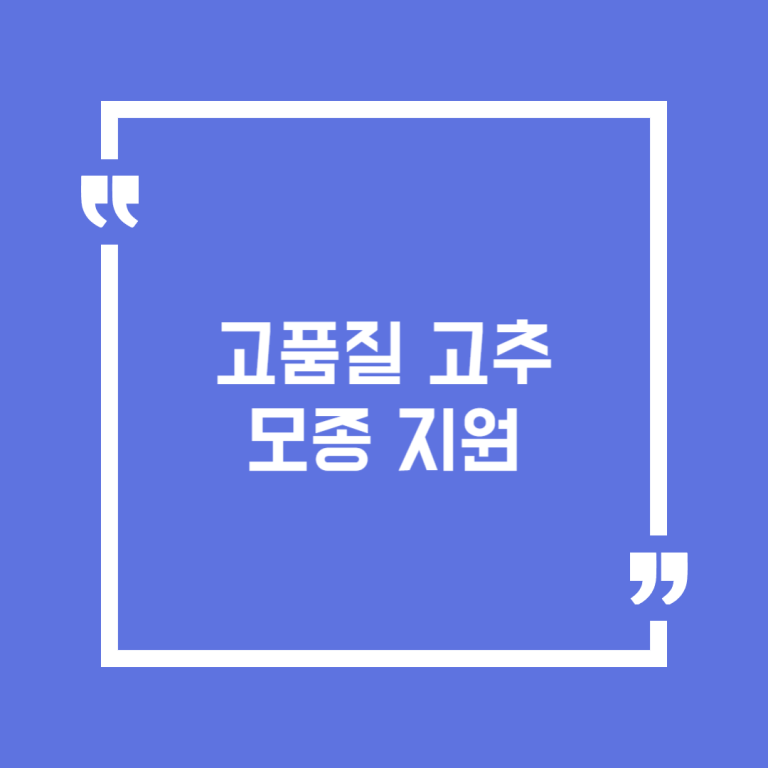 고품질 고추 모종 지원