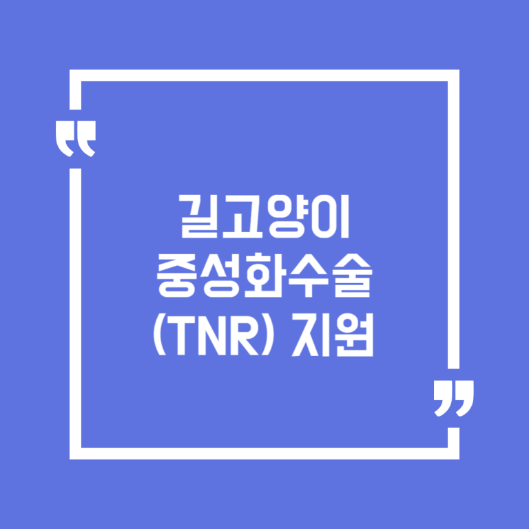 길고양이 중성화수술(TNR) 지원