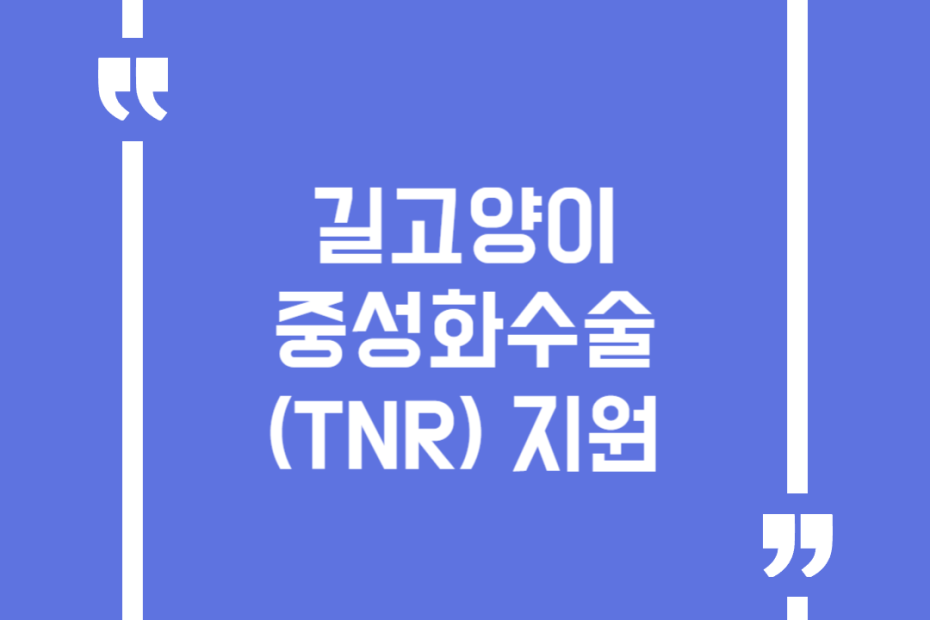 길고양이 중성화수술(TNR) 지원