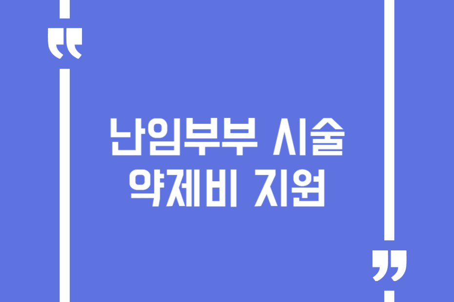 난임부부 시술 약제비 지원