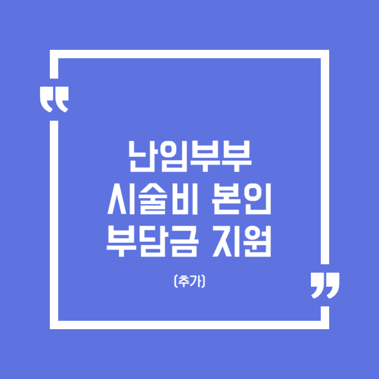 난임부부 시술비 본인부담금 지원(추가)