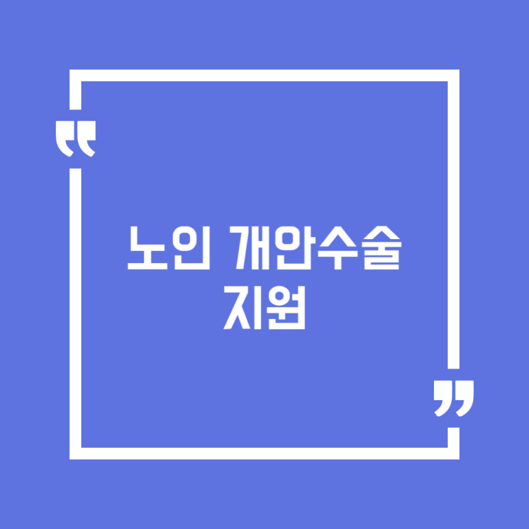 노인 개안수술 지원