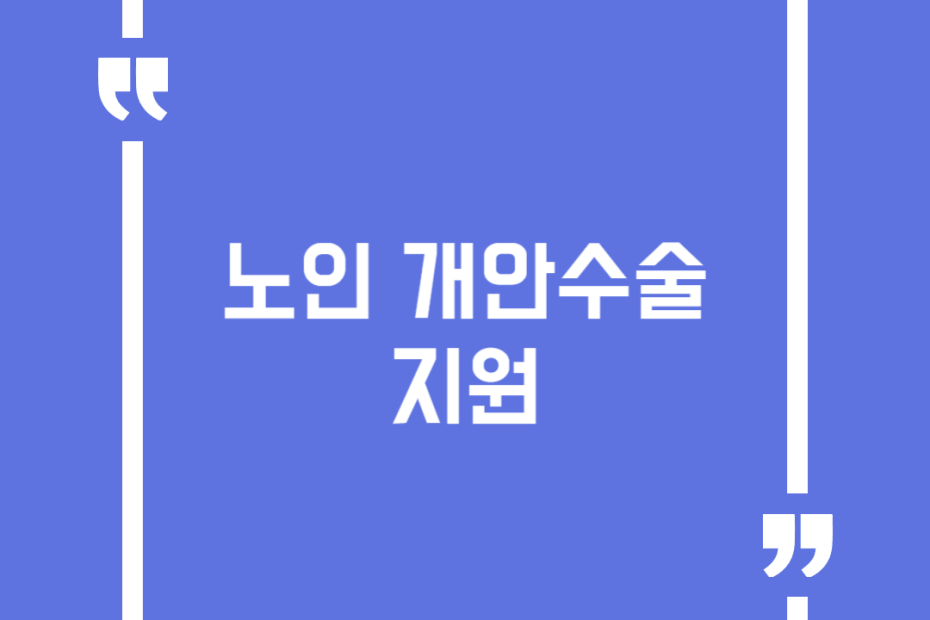 노인 개안수술 지원