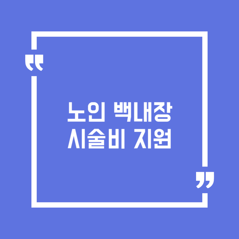 노인 백내장 시술비 지원
