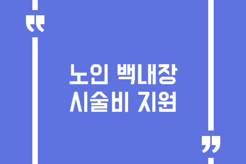 노인 백내장 시술비 지원