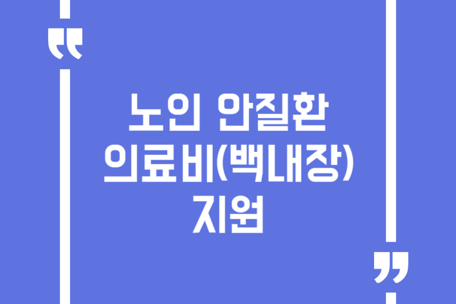 노인 안질환 의료비(백내장) 지원