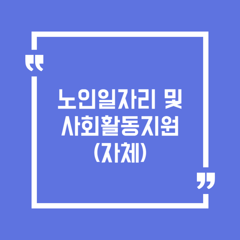 노인일자리 및 사회활동지원(자체)