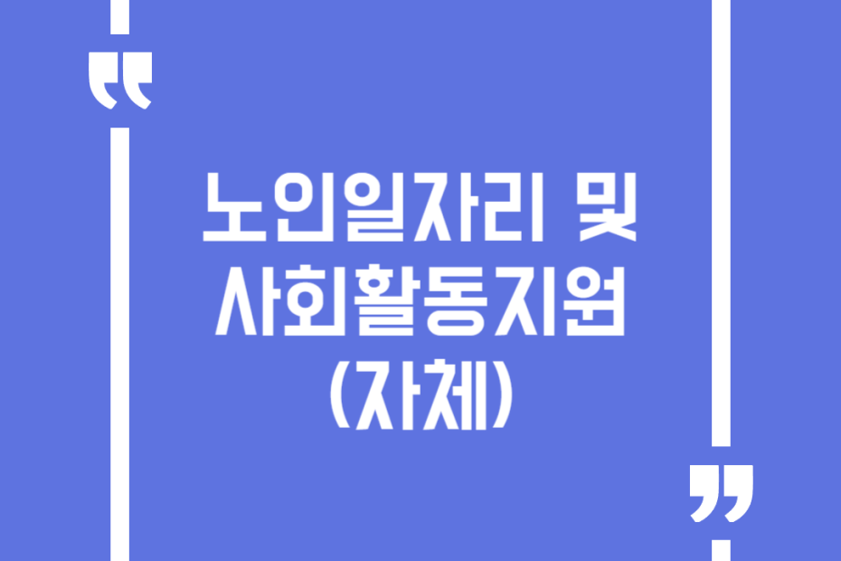 노인일자리 및 사회활동지원(자체)