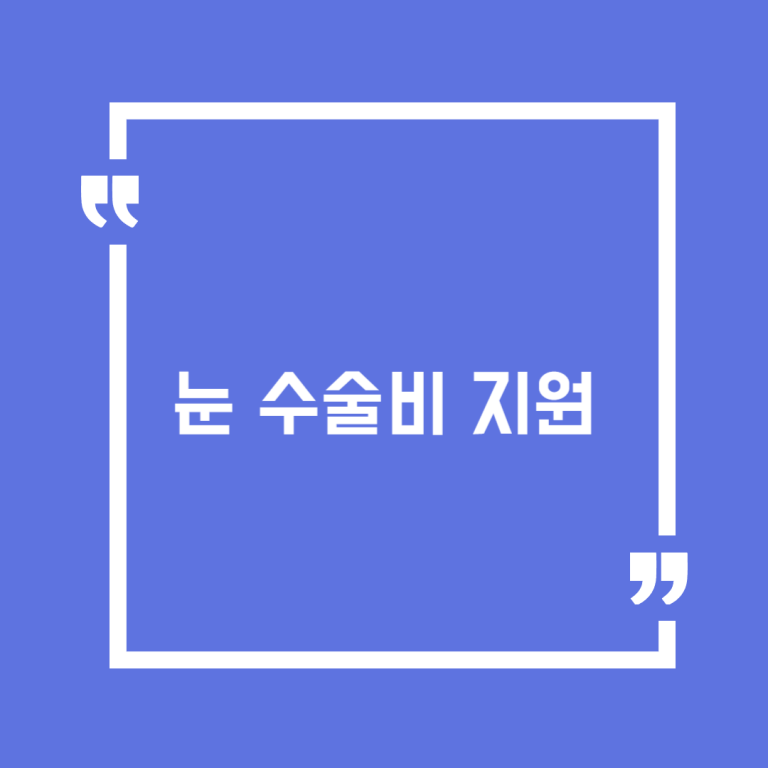 눈 수술비 지원