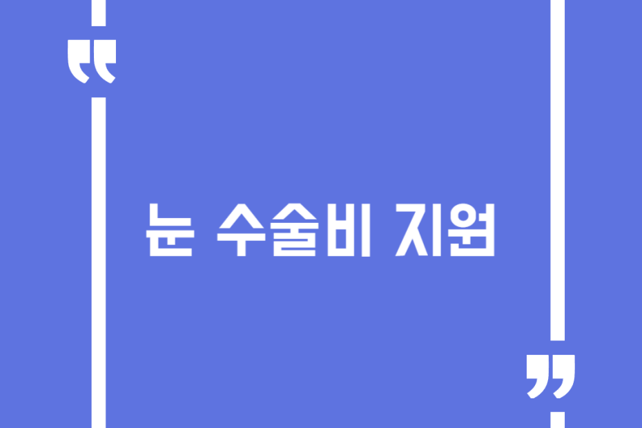 눈 수술비 지원