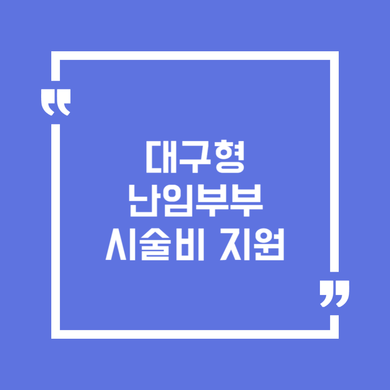 대구형 난임부부 시술비 지원