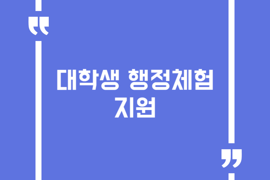 대학생 행정체험 지원