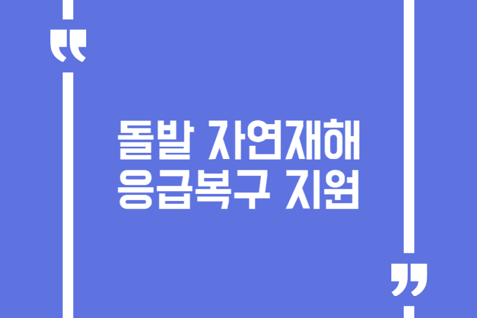 돌발 자연재해 응급복구 지원