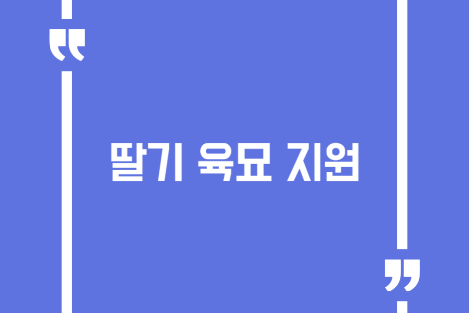 딸기 육묘 지원