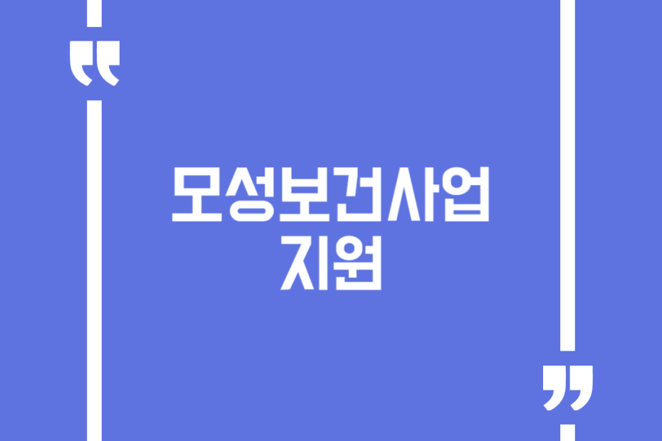 모성보건사업 지원