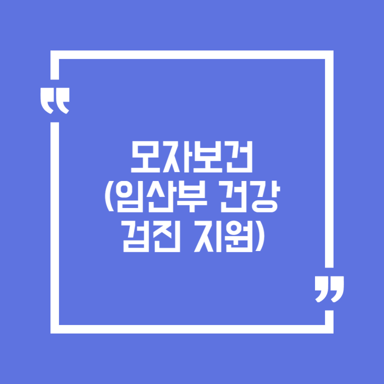 모자보건(임산부 건강검진 지원)