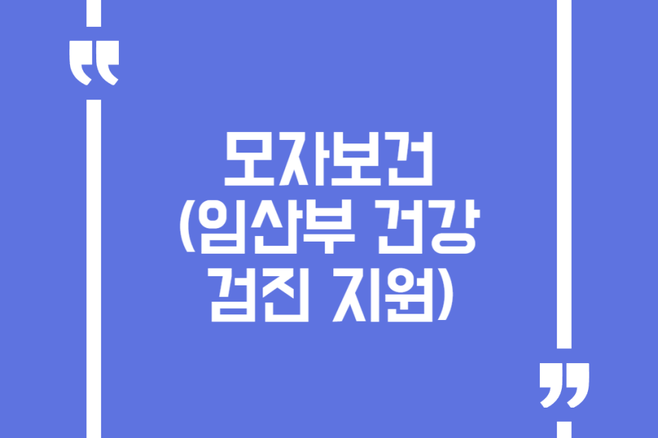 모자보건(임산부 건강검진 지원)