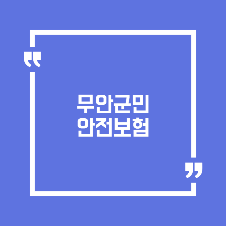 무안군민 안전보험