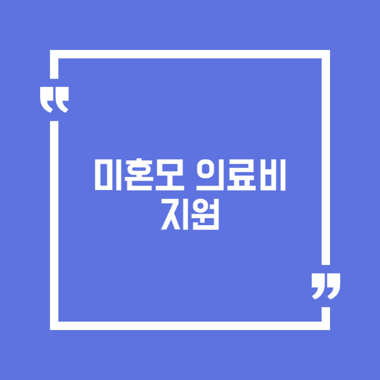 미혼모 의료비 지원