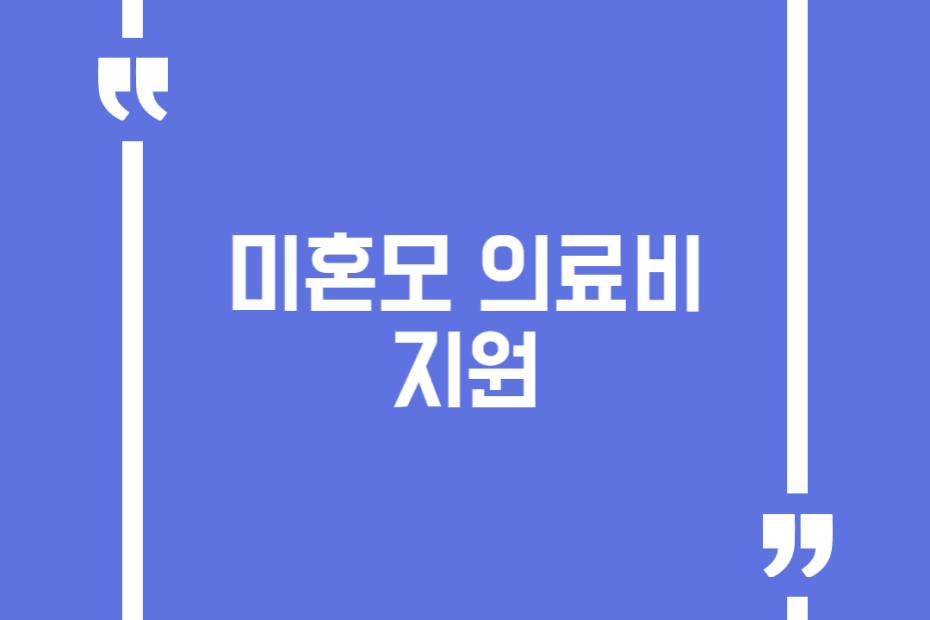 미혼모 의료비 지원