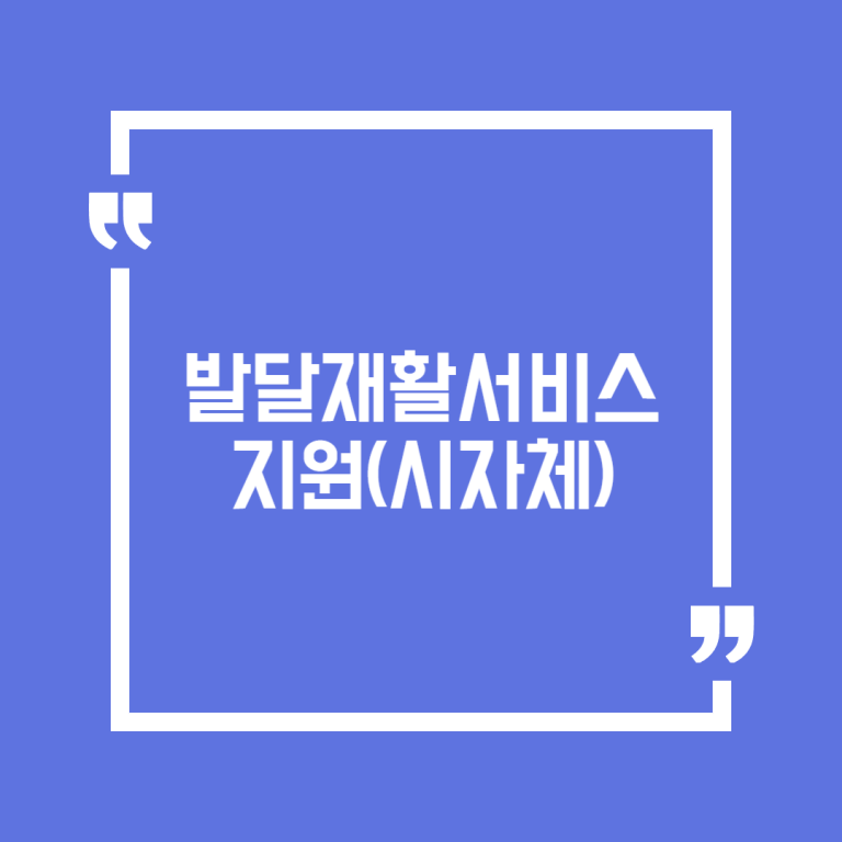 발달재활서비스 지원(시자체)