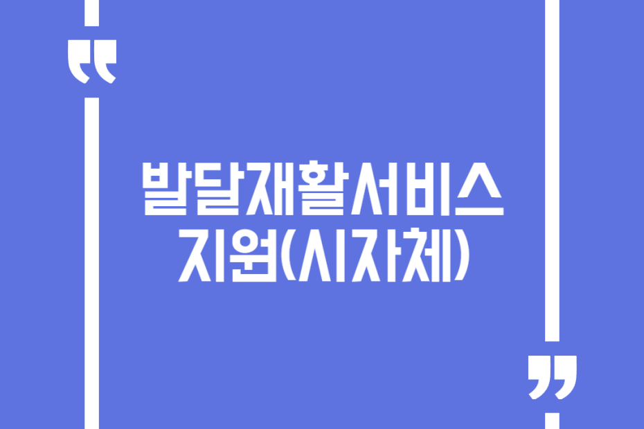 발달재활서비스 지원(시자체)