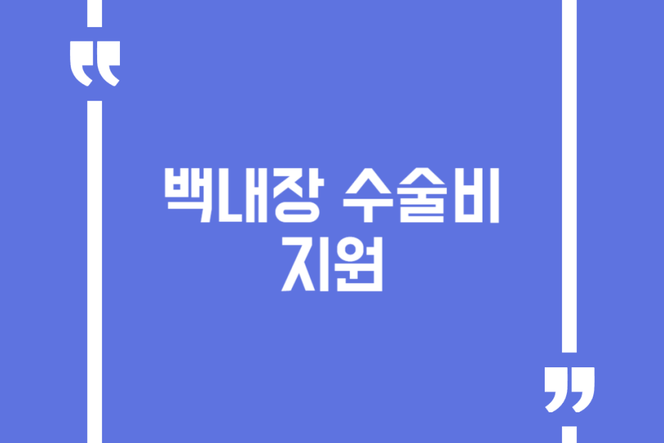 백내장 수술비 지원