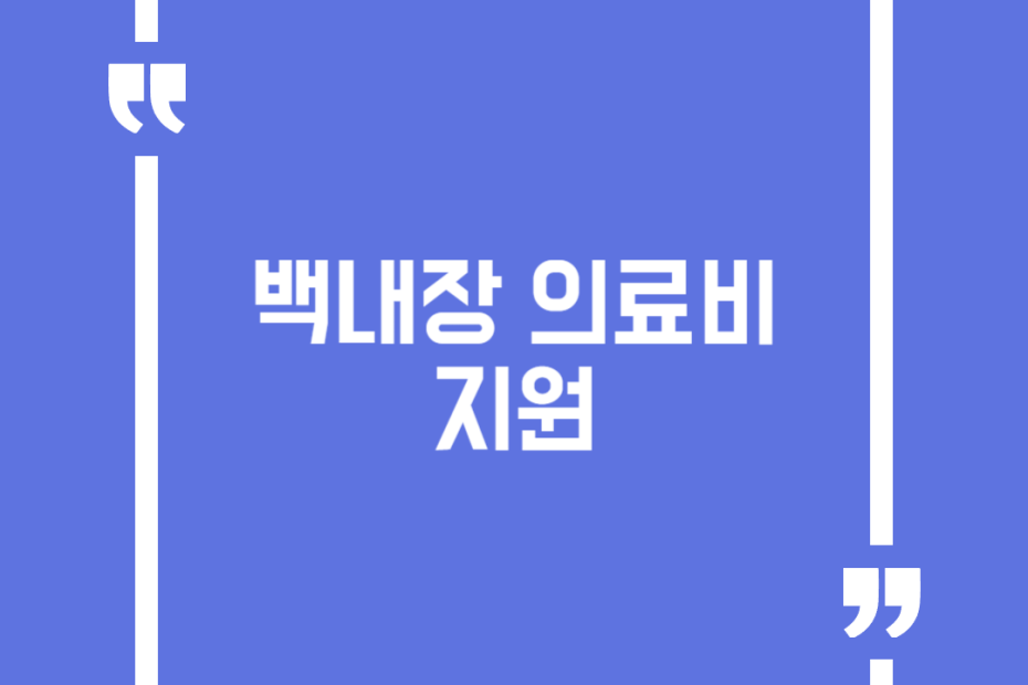 백내장 의료비 지원