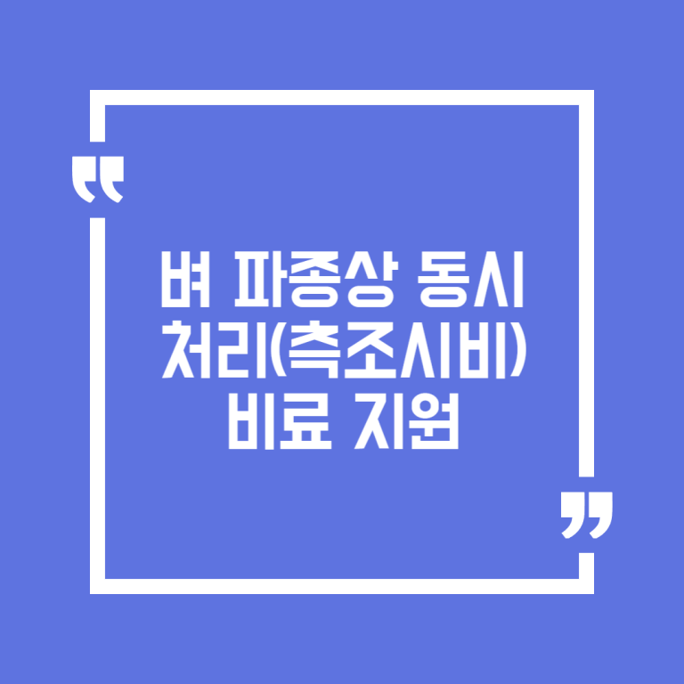 벼 파종상 동시처리(측조시비) 비료 지원