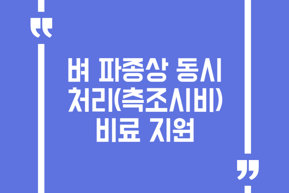 벼 파종상 동시처리(측조시비) 비료 지원